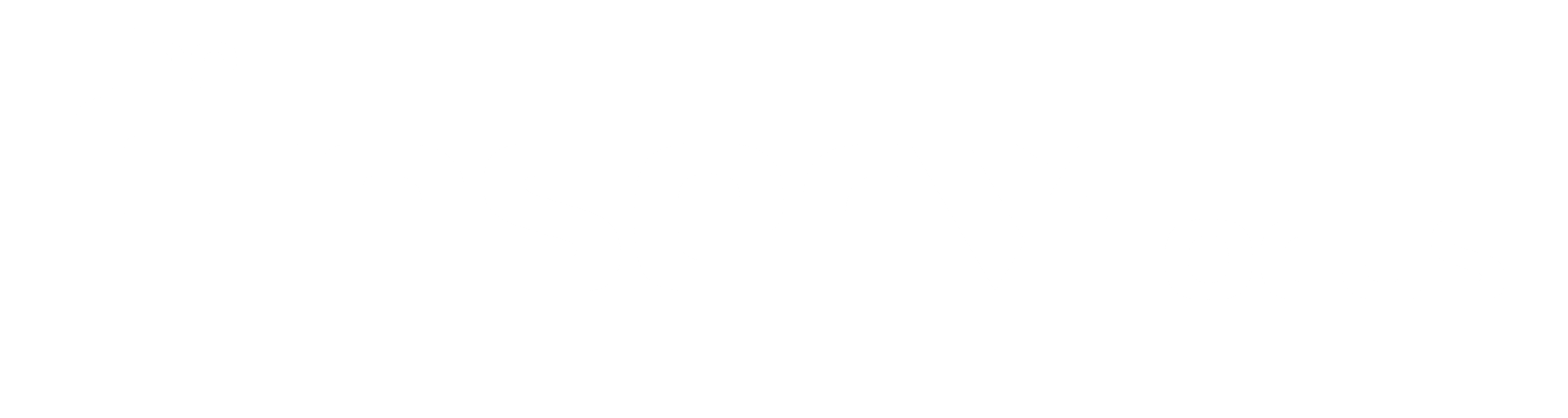 The Finserv Focus
